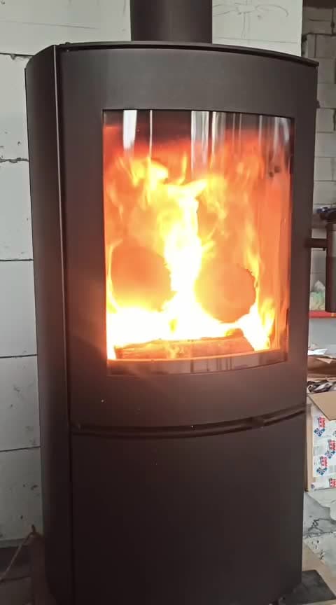 1000008903.jpg